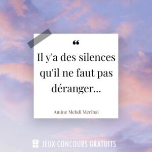 Citation Amine Mehdi Meribai : Il y'a des silences qu'il ne faut pas déranger......