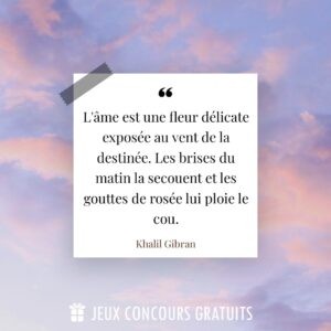 Citation Khalil Gibran : L'âme est une fleur délicate exposée au vent de la destinée. Les brises du matin la secouent et les gouttes de rosée lui ploie le cou....
