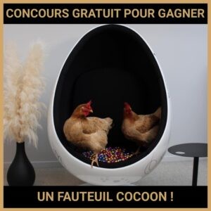 JEU CONCOURS GRATUIT POUR GAGNER UN FAUTEUIL COCOON !